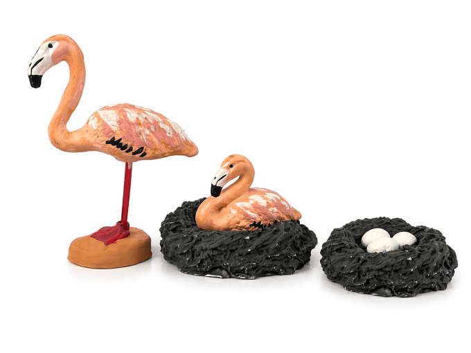 Flamand rose
