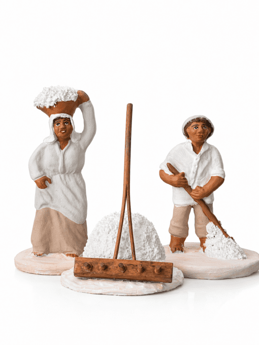 Saunier et Saunière de Camargue
