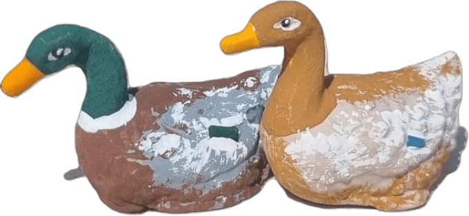 Canard colvert