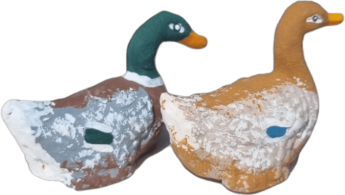Canard colvert