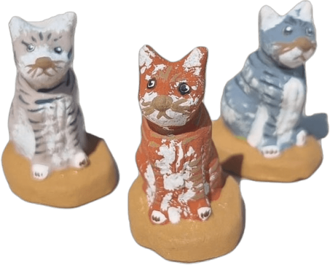 Chat assi