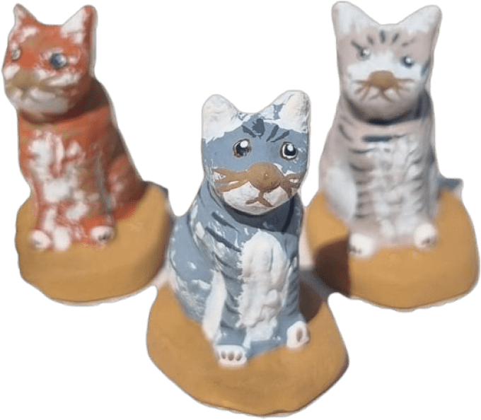 Chat assi