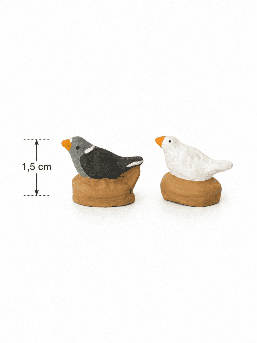 Pigeon et colombe