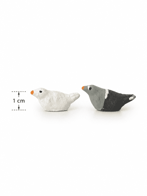 Pigeon et colombe