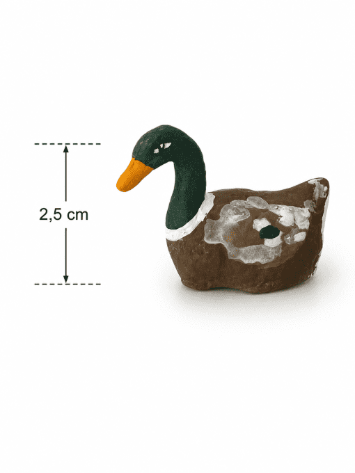 Canard mal et femelle colvert