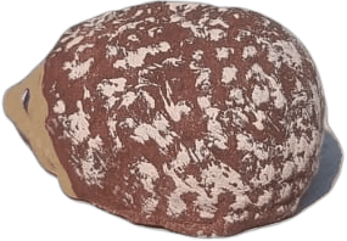 Hérison
