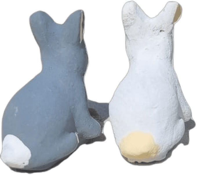 Lapin assis