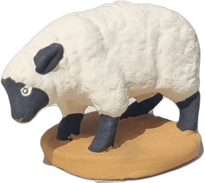 Mouton à tête noir