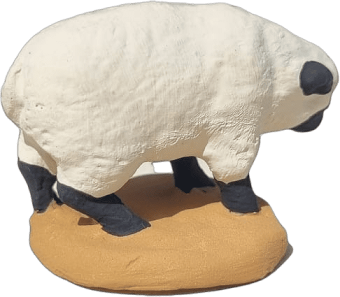 Mouton à tête noir
