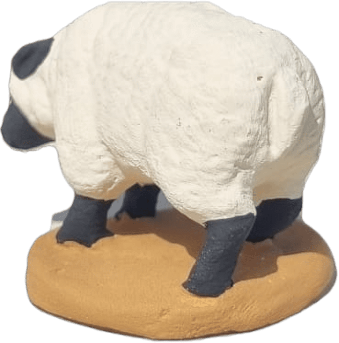Mouton à tête noir