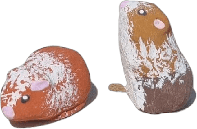 Cochon dinde