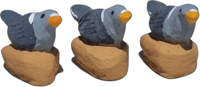 Pigeon
