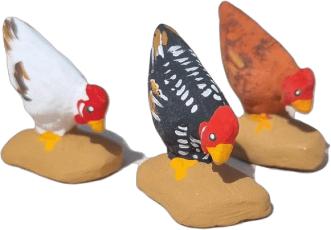 Poule