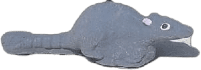 Chasseur de rats et les rats