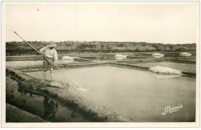 Saunier de Camargue